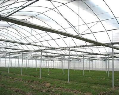 中聯(lián)塑料蔬菜大棚膜 價格與應用解析